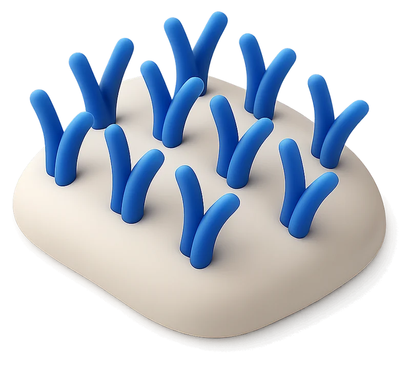 Cellule ciliate della coclea viste da vicino