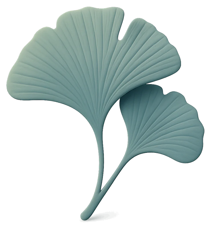Foglie di ginkgo biloba